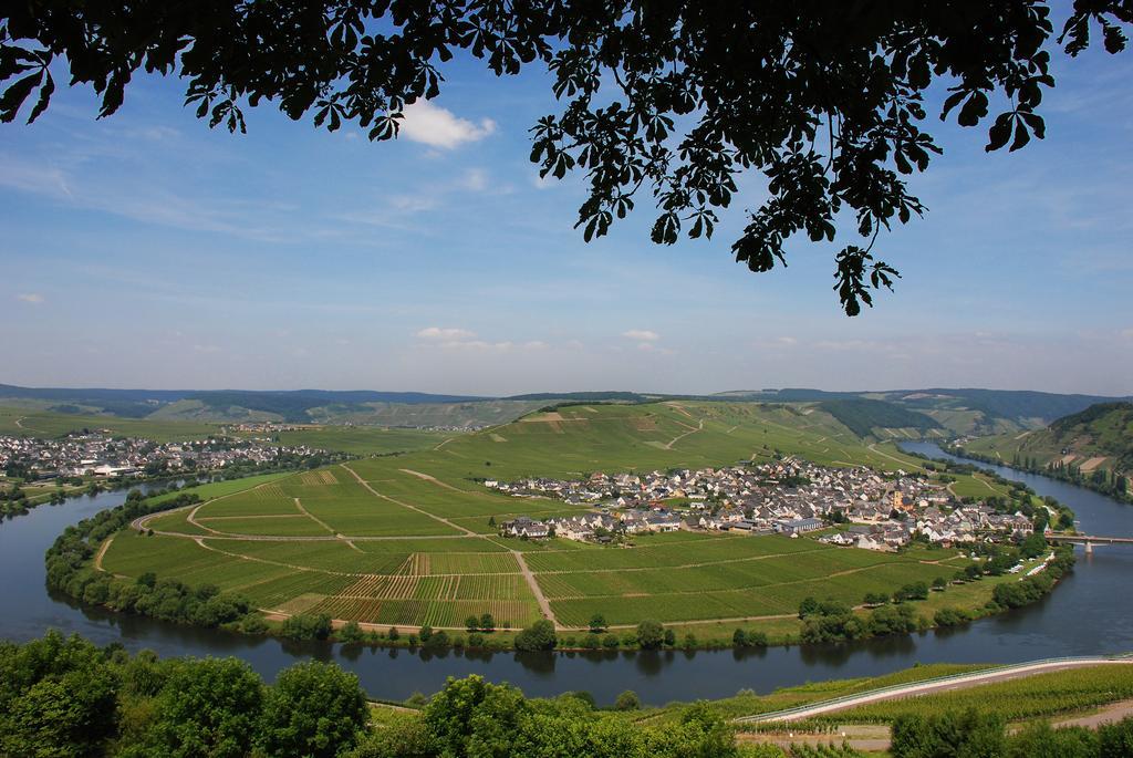 Gaestehaus & Weingut Cluesserath-Weiler Trittenheim Exterior photo